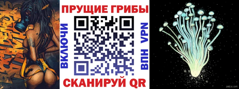 Галлюциногенные грибы MAGIC MUSHROOMS  хочу наркоту  MEGA как зайти  Белокуриха 